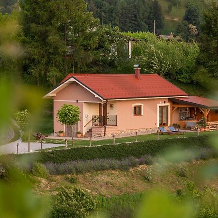 Hill Cottage Haloze Gruskovec Exterior foto